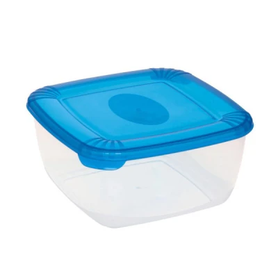 Pojemnik do zamrażania Plast Team Polar 2,5 l