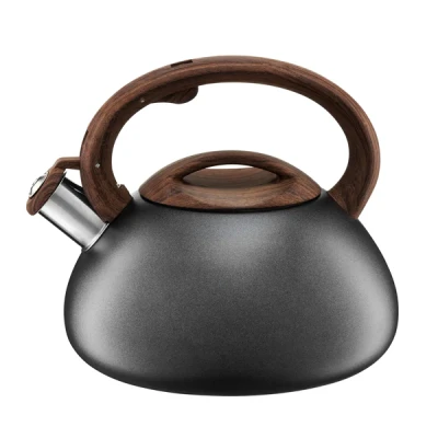 DAJ-CZAJNIK NIERDZEWNY 2,5L *TERRA* 37171