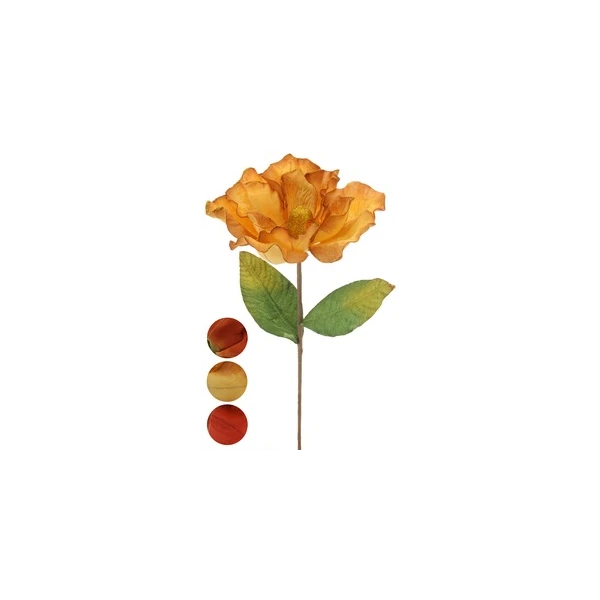 NL-MAGNOLIA