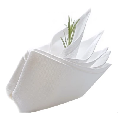SERWETKA GASTRO MASTER BIAŁA \ ECRU 50*50 470-01
