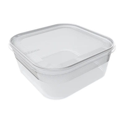 Pojemnik na żywność Plast Team Helsinki Freezer 3 l