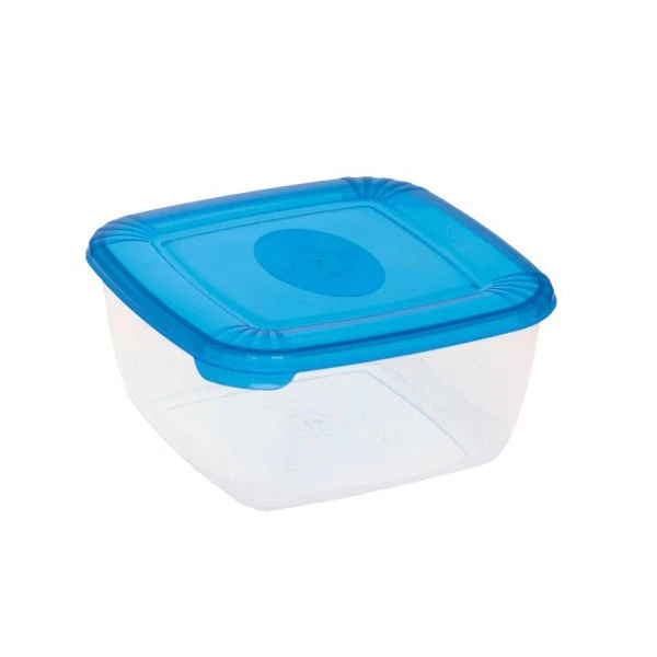Pojemnik na żywność Plast Team Polar 1,5 l kwadrat