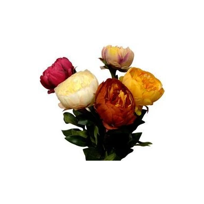 AD-PEONIA ADAC1608