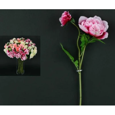 G354-PEONIA /1/