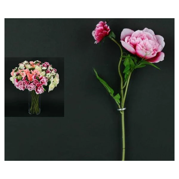 G354-PEONIA /1/