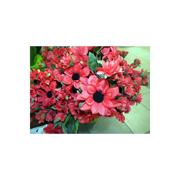 G357-DALIA /1/