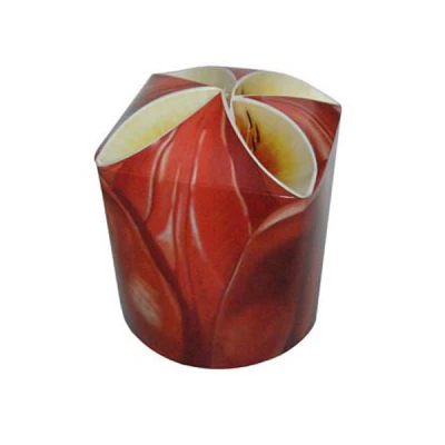 GALA-POJEM.570ML *KWIAT CZERW*