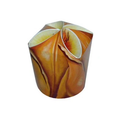 GALA-POJEM.570ML *KWIAT ŻÓŁTY*