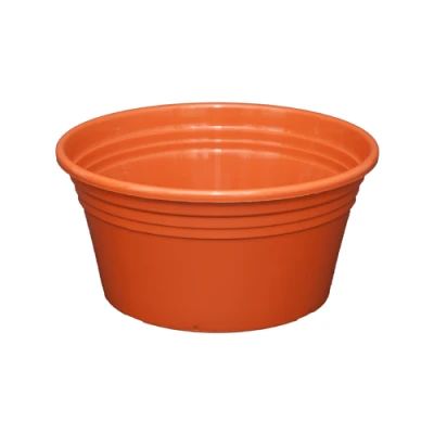MISKA *IRYS* PŁASKA       22CM