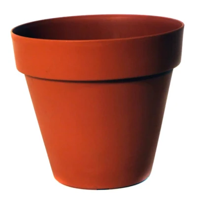 DONICZKA *SEKWOJA*        29CM