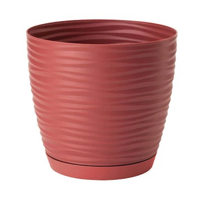 DONICZKA SAHARA PETIT Z/P *15* MARSALA