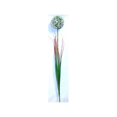 EUR-KW/ALIUM/5/B CZOSNEK