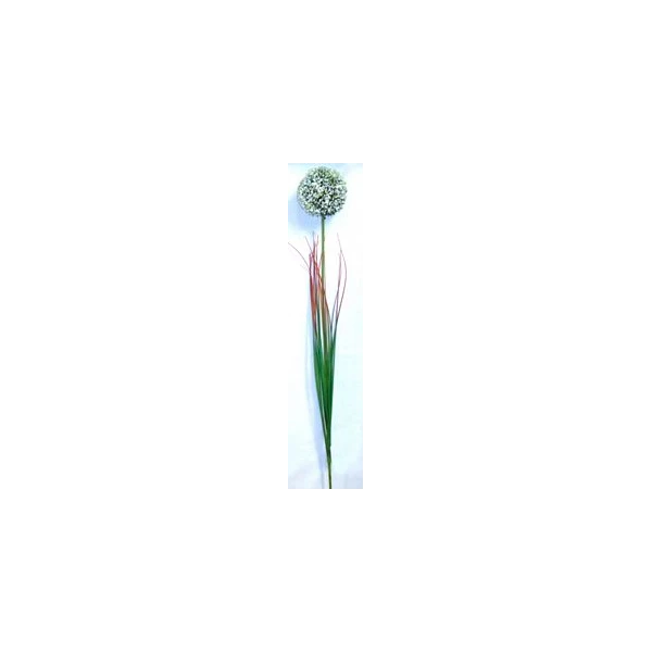 EUR-KW/ALIUM/5/B CZOSNEK
