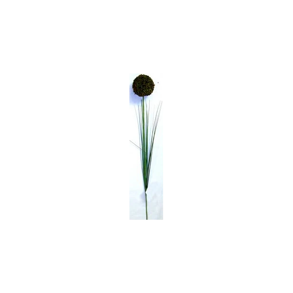 EUR-KW/ALIUM/5/OLIWKA