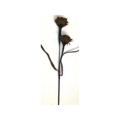EUR-KW/ALIUM/6/BRŃZ