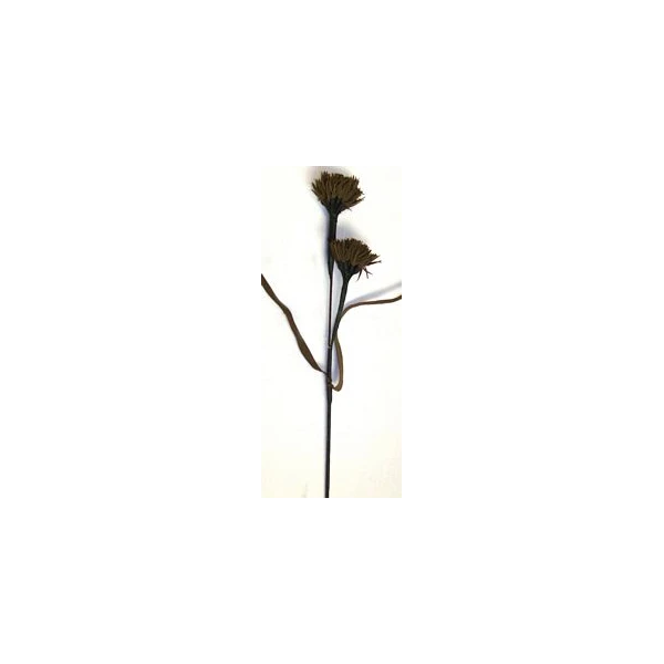 EUR-KW/ALIUM/6/BRŃZ