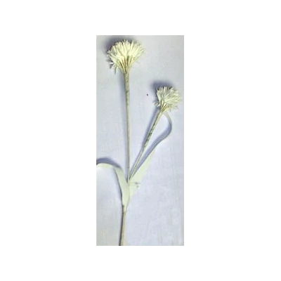 EUR-KW/ALIUM/6/K