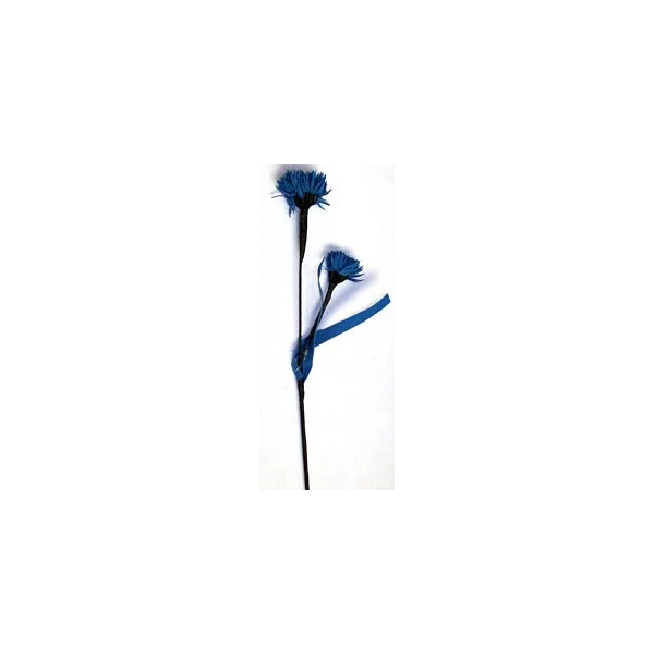 EUR-KW/ALIUM/6/NIEBIESKIE