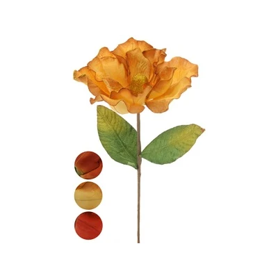 NL-MAGNOLIA