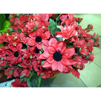 G357-DALIA /1/