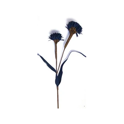EUR-KW/ALIUM/6/GRANAT