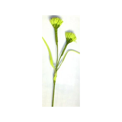 EUR-KW/ALIUM/6/LIMO