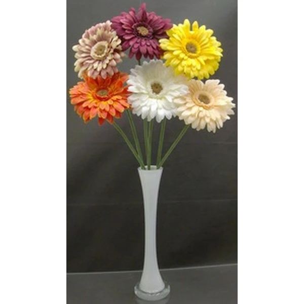 ROJ-GERBERA KF-C-991SPR/ST