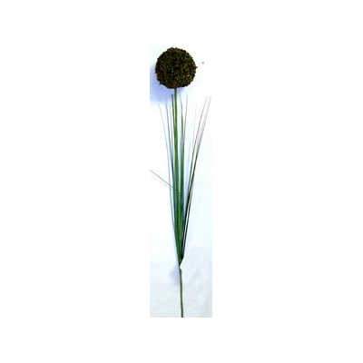 EUR-KW/ALIUM/5/OLIWKA