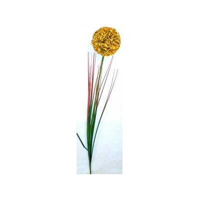 EUR-KW/ALIUM/5/POMARAŃCZ