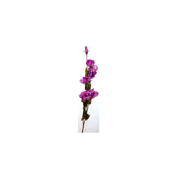 AD-EUSTOMIA SRIC572