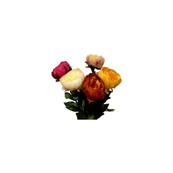 AD-PEONIA ADAC1608
