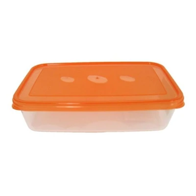 Pojemnik na żywność Bentom Just Fresh 550 ml