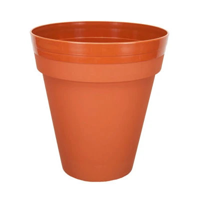 PALMÓWKA IRYS *2* 29CM