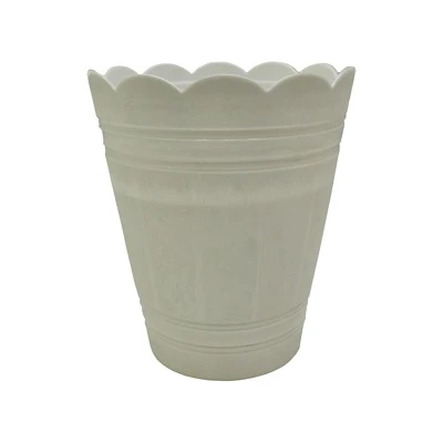 PALMÓWKA BIAŁA *2*        30CM