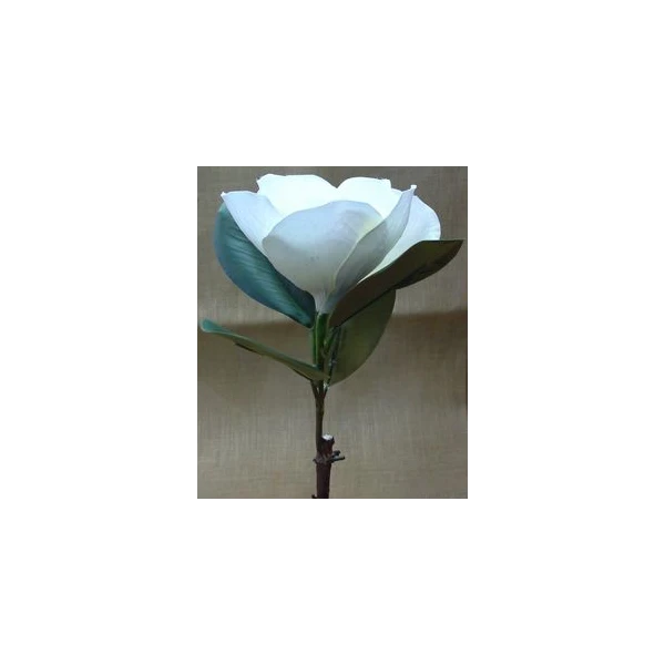 EUR-KWIAT MAGNOLIA/BIAŁY