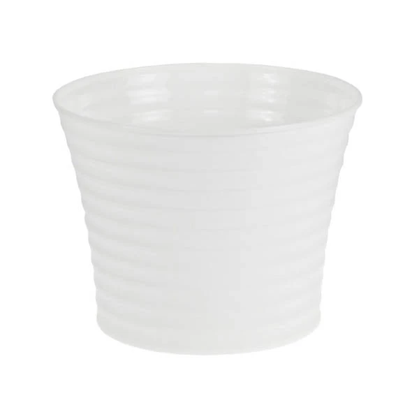 DONICZKA *BRATEK* 16CM BIAŁA