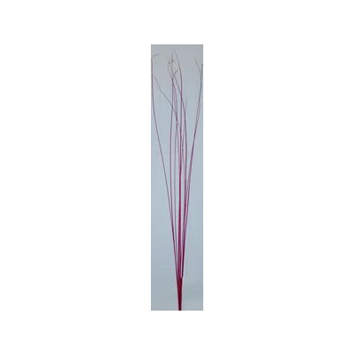 EUR-SUSZ/KWIAT/1/CZE WYS.90CM