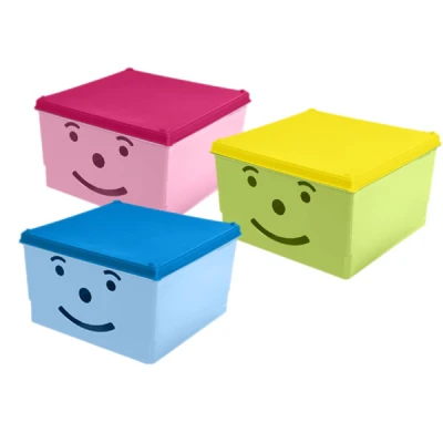 Pojemnik do przechowywania BranQ Smiley 30 x 30 x 18 cm