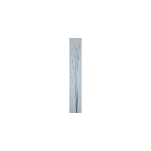EUR-SUSZ/KWIAT/1/SREB WYS.90CM