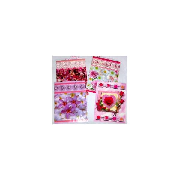Torba papierowa Gajo 5798 0254