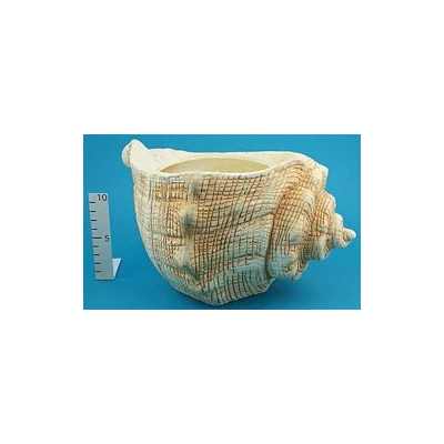 TOP-OSŁONKA MUSZLA TG09234