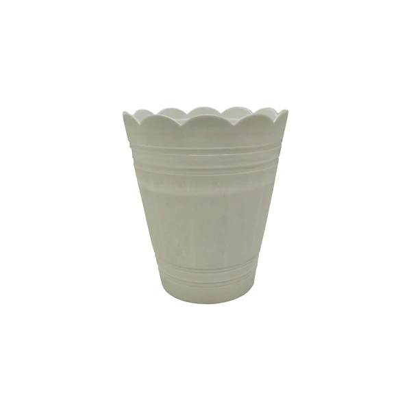 PALMÓWKA BIAŁA *1*        36CM