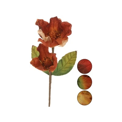 NL-Magnolia