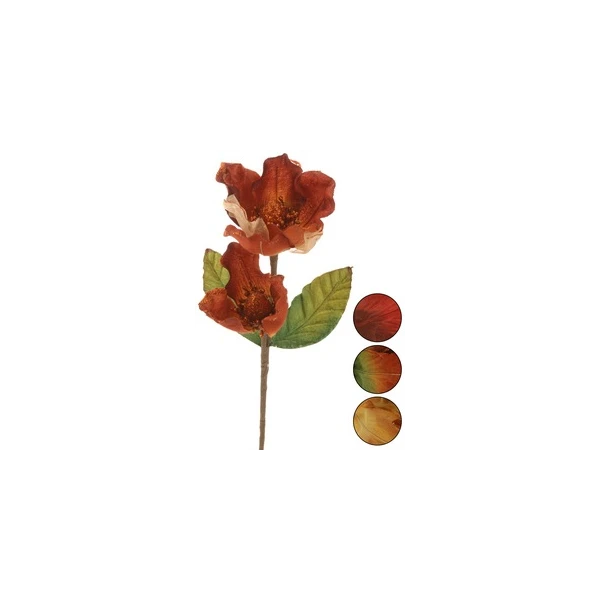 NL-Magnolia