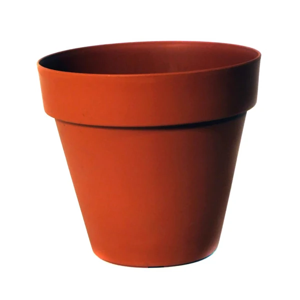 DONICZKA *SEKWOJA*        48CM