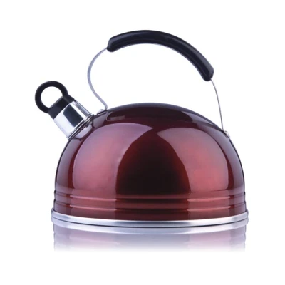ARTMET-CZAJNIK 3L. *230T* BP METALIK