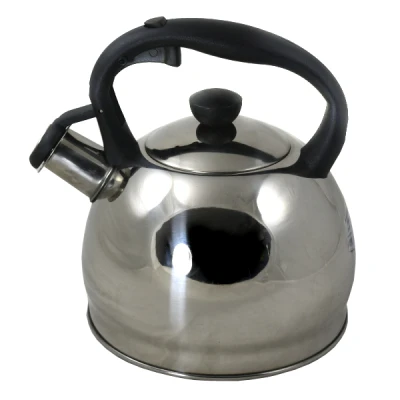 DAJ-CZAJNIK NIERDZEWNY 1,6L *APOLLO* POŁYSK/SATYNA 50855