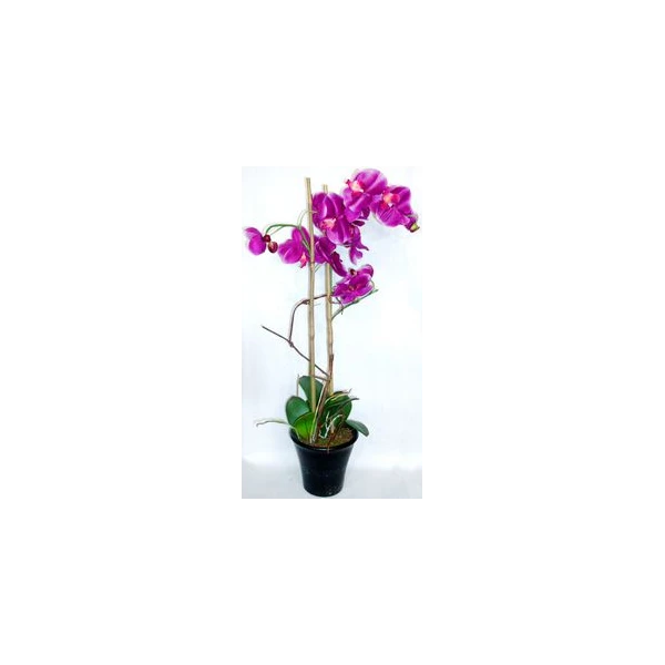TOM-STORCZ.W DON.69CM XDT5138