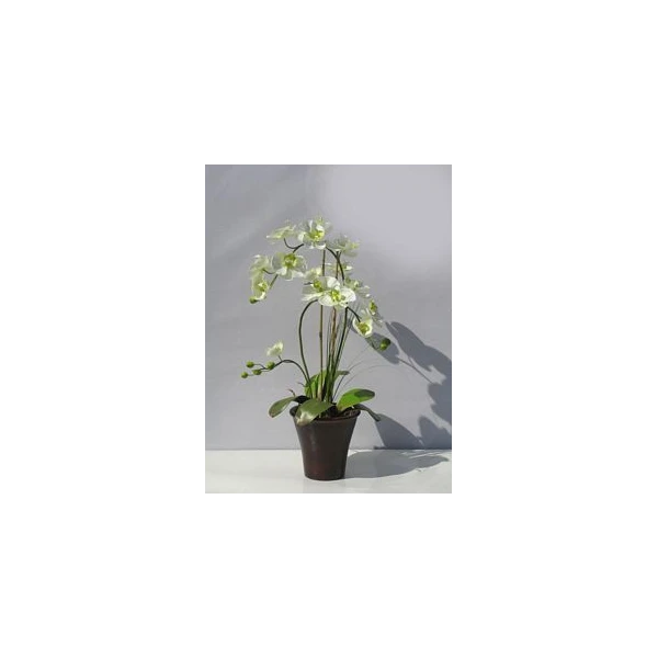 TOM-STORCZ.W DON.63CM XDT1297
